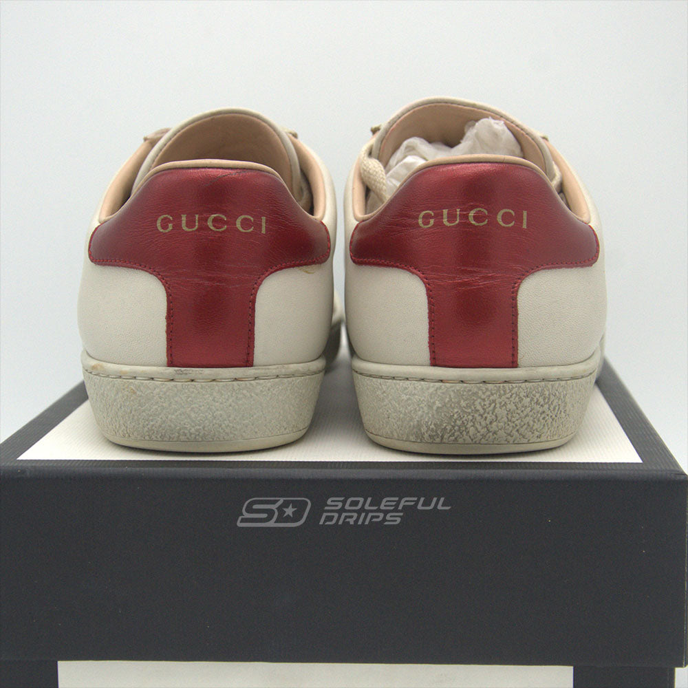 Gucci ACE Band 36.5 [USED]
